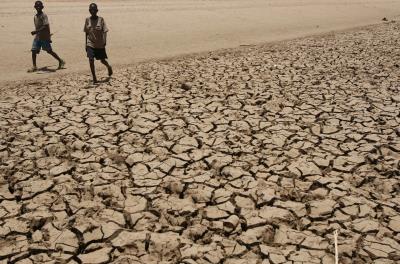 Una devastadora sequía azota a Kenia poniendo en peligro la vida de los habitantes, ganado, animales salvajes y cosechas.EFE/STEPHEN MORRISON (archivo)