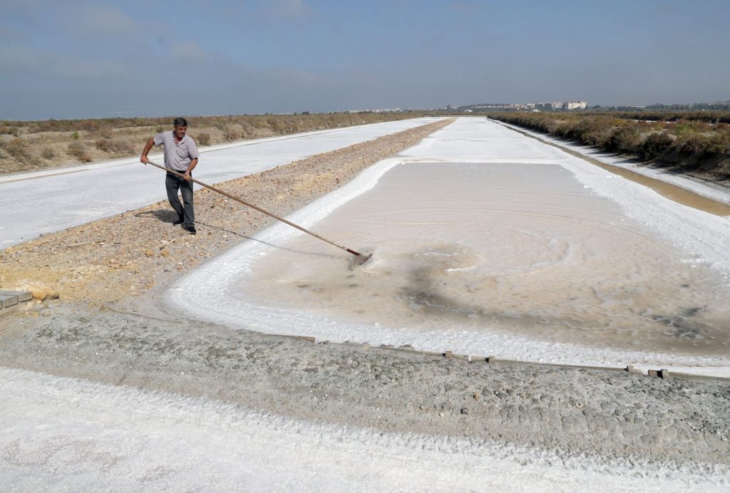 salinas