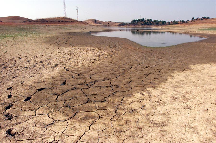sequía sector primario