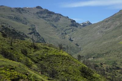 Biodiversidad de Sierra Nevada