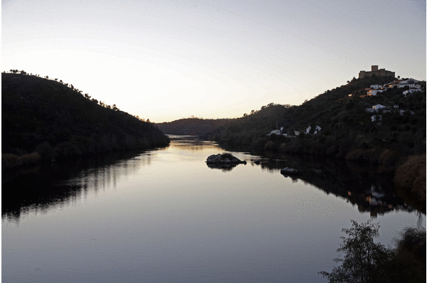 Siluro para Lifeinvasaqua efeverde