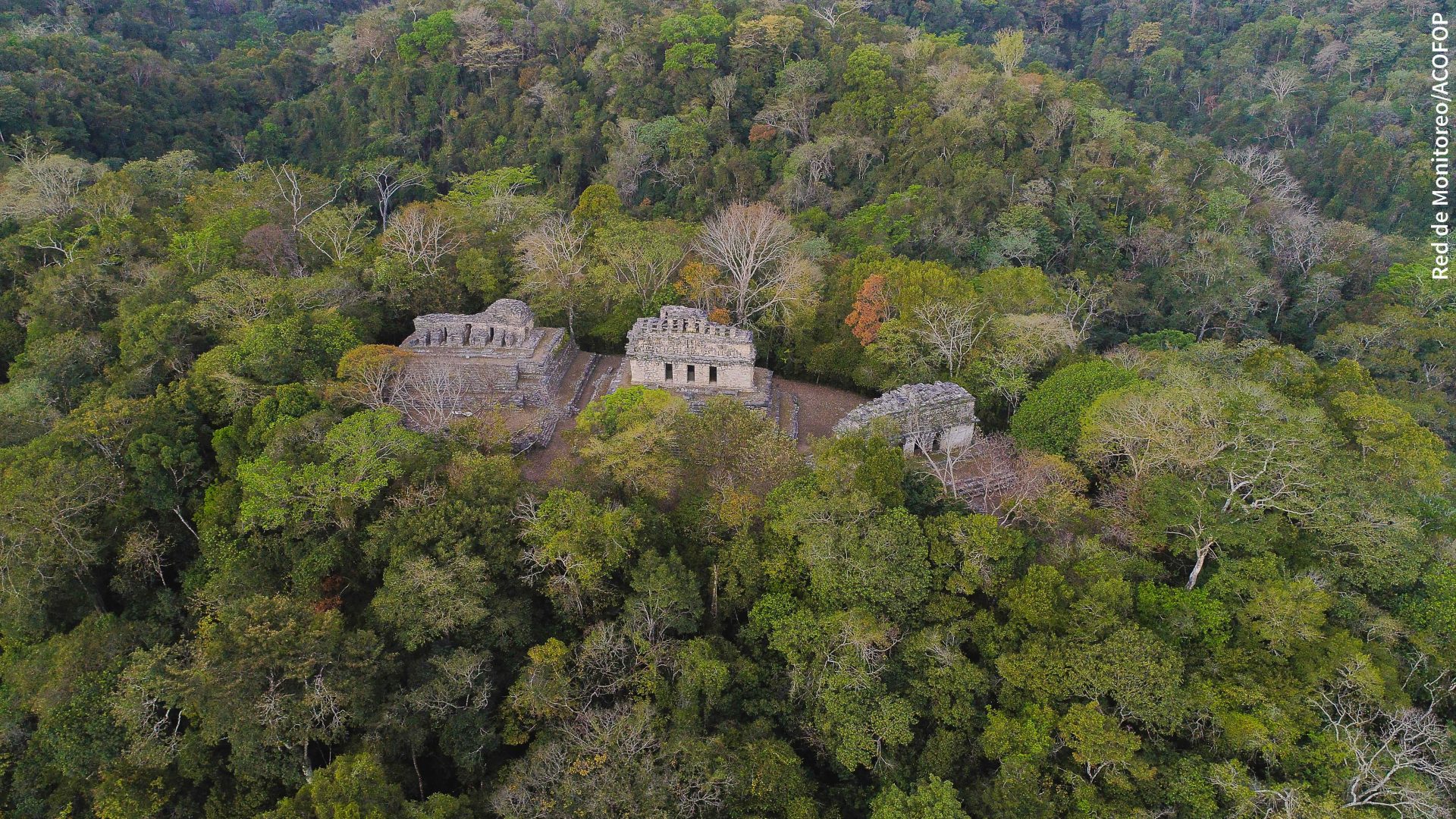 Zona arqueológica dentro de la Reserva de la Biósfera Maya