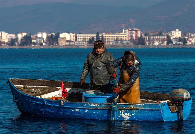 Programa de desove protege a trucha endémica del lago Ohrid de su extinción.EFE/GEORGI LICOVSKI