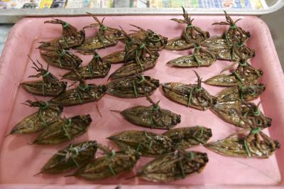 Insectos acuáticos comestibles en el mercado de Tung Kwain, en Lumpang (Tailandia).
