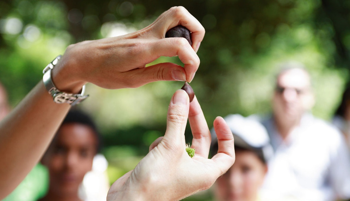 Real Jardín Botánico
