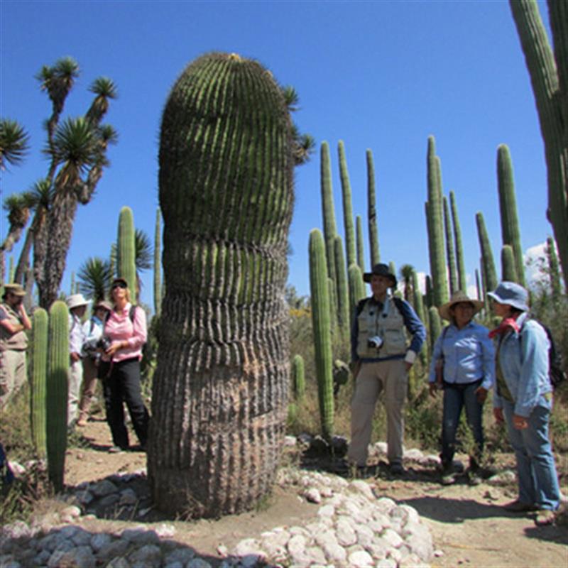 Expertas de la Unesco en el valle de Tehuacán-Cuicatlán (México), un paso más para integrarlo en Patrimonio Mundial