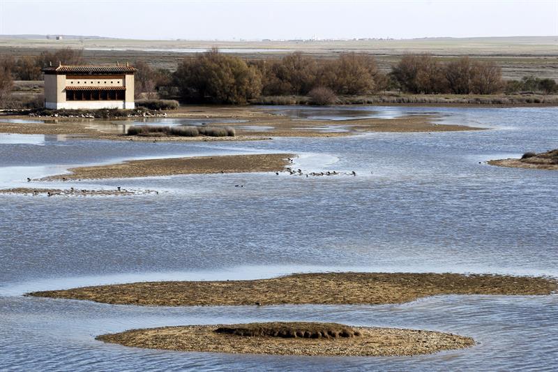 Las lagunas de Villafáfila, uno de los humedales más importantes de Castilla y León.