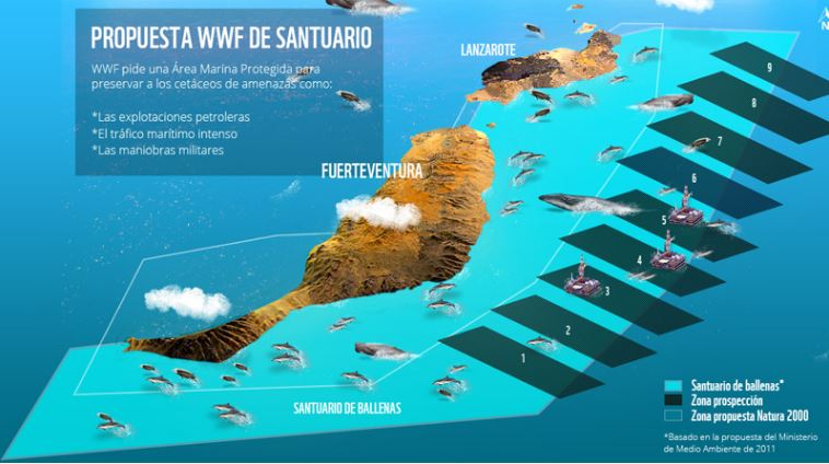 Propuesta de Santuario de cetáceos en Canarias. EFE/WWF