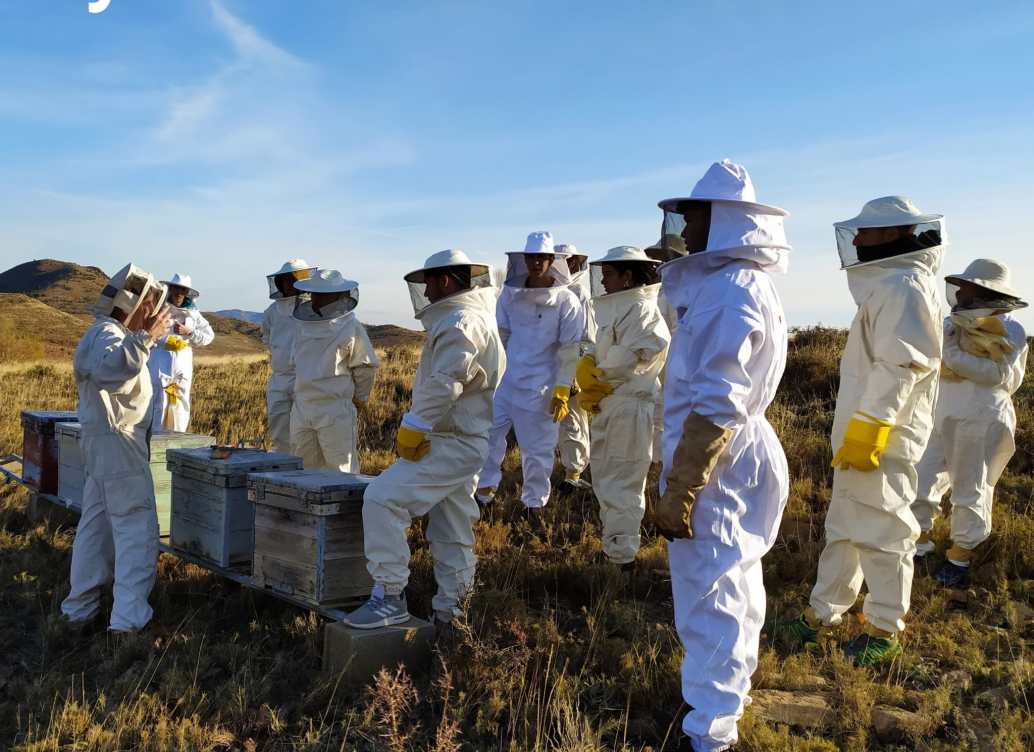 apicultura empleo juvenil