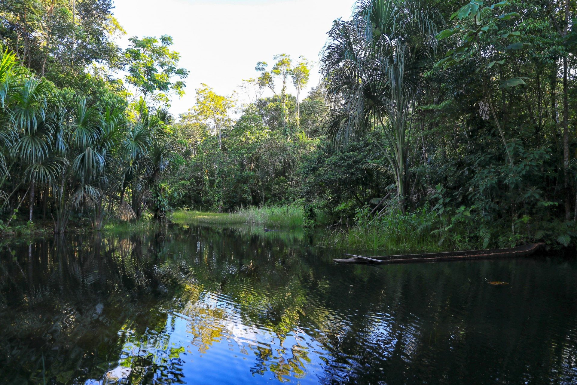 amazonia Ecuador río Villano