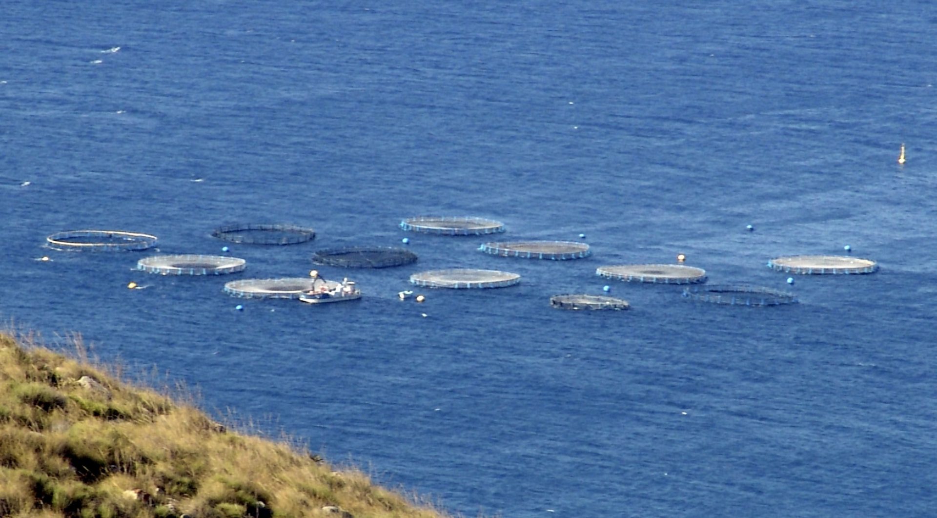 granjas de acuicultura en la costa de Gran Canaria. 
