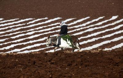 Haines plantea utilizar indicadores distintos para medir el progreso humano desvinculados de la economía.