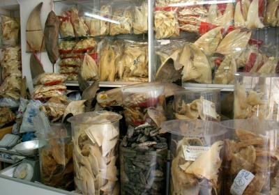 Los supervivientes  demandan la creación urgente de más santuarios para tiburones donde se prohíba su pesca. 