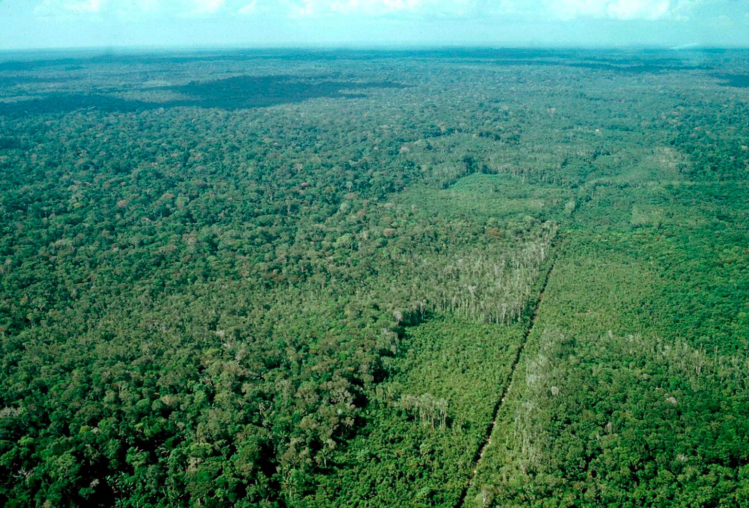 Instalan por satélite para proteger gran reserva de la