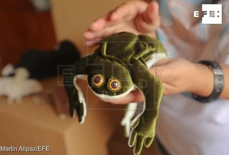 Imagen de un muñeco que representa a la rana gigante del Lago Titicaca, hecho por la bióloga boliviana Ninostka. EFE/Martin Alipaz