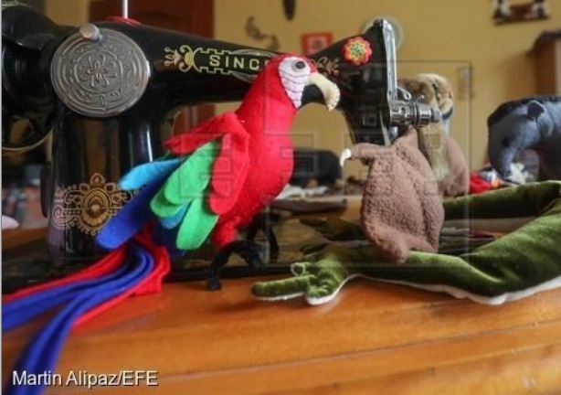 biodiversidad bolivia 