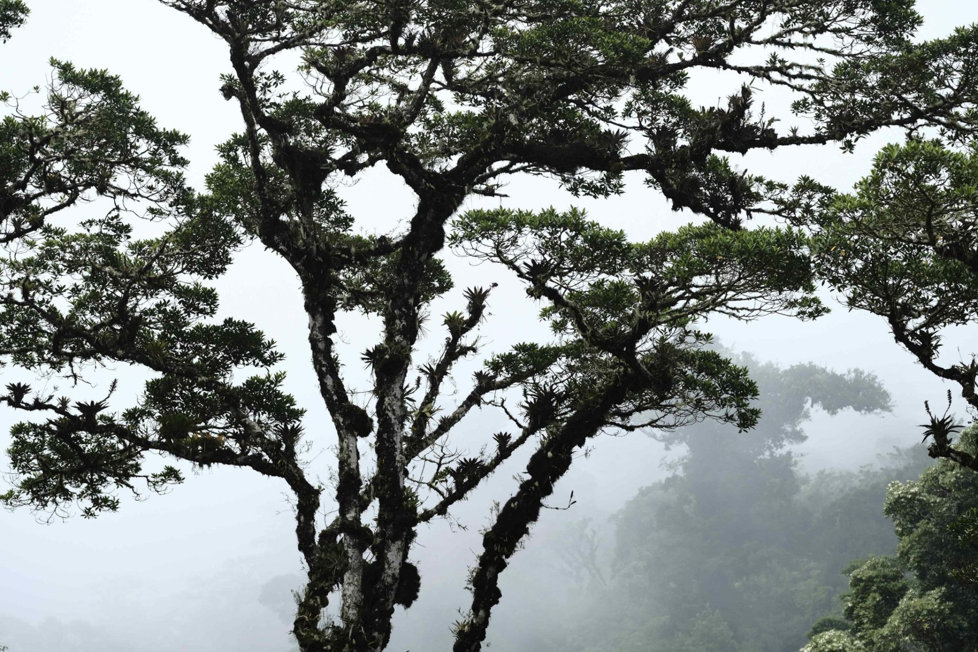 Vista del Parque Nacional del Agua Juan Castro Blanco, en Costa Rica.
