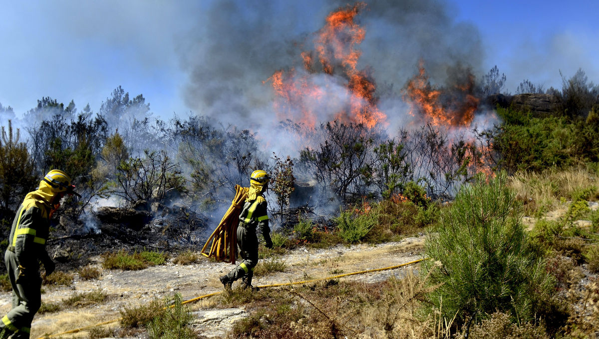 incendio forestal