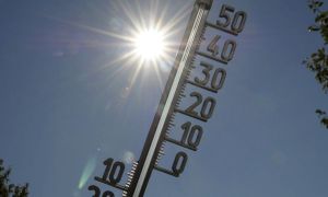 calor