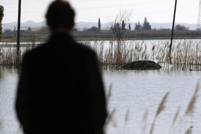 Imagen de archivo del río Ebro. EFE/JAVIER BELVER.