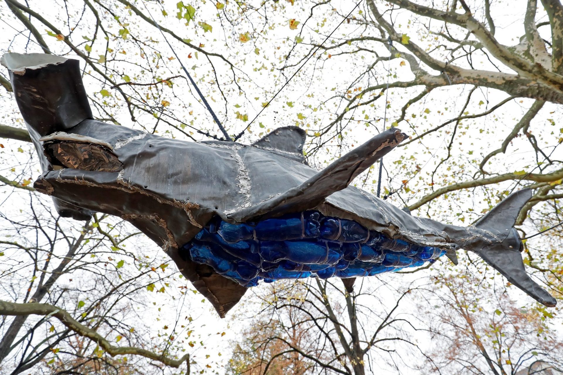 una escultura de un tiburón realizada con botellas de plástico en el Rheinauen de Bonn, Alemania, durante la celebración de la Cumbre del Clima de Bonn (COP23).
