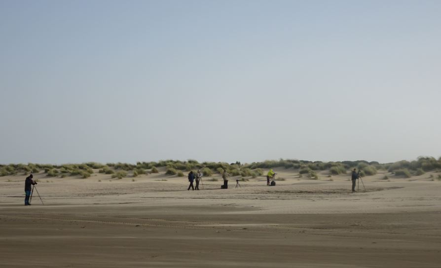 turismo ornitológico en Doñana. Foto Marta Martínez