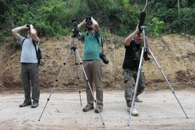 Manizales cuenta en su territorio con un 30 % de las 1.921 especies de aves existentes en Colombia. 
