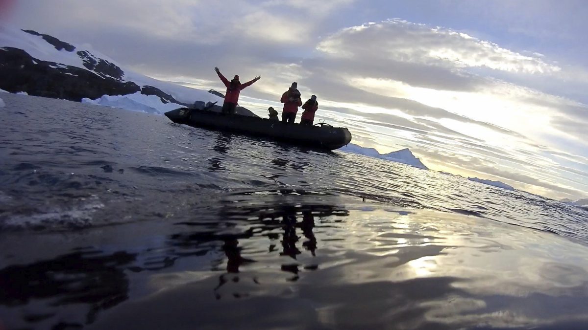 Imagen tomada desde la cámara situada en el lomo de una ballena.