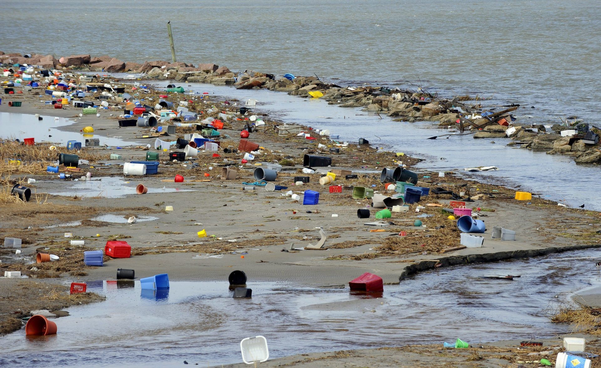 El Plástico Tirado Al Mar Acaba En El Estómago De Peces Y Aves Efeverde