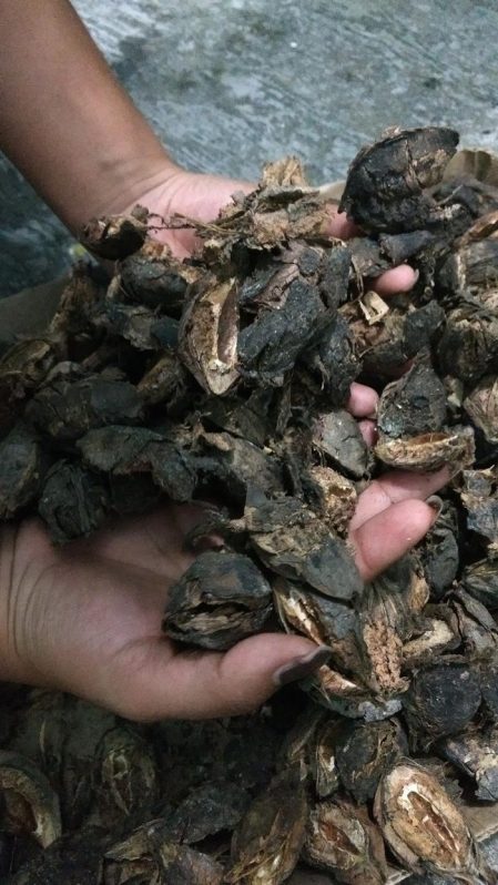 combustible ecológico