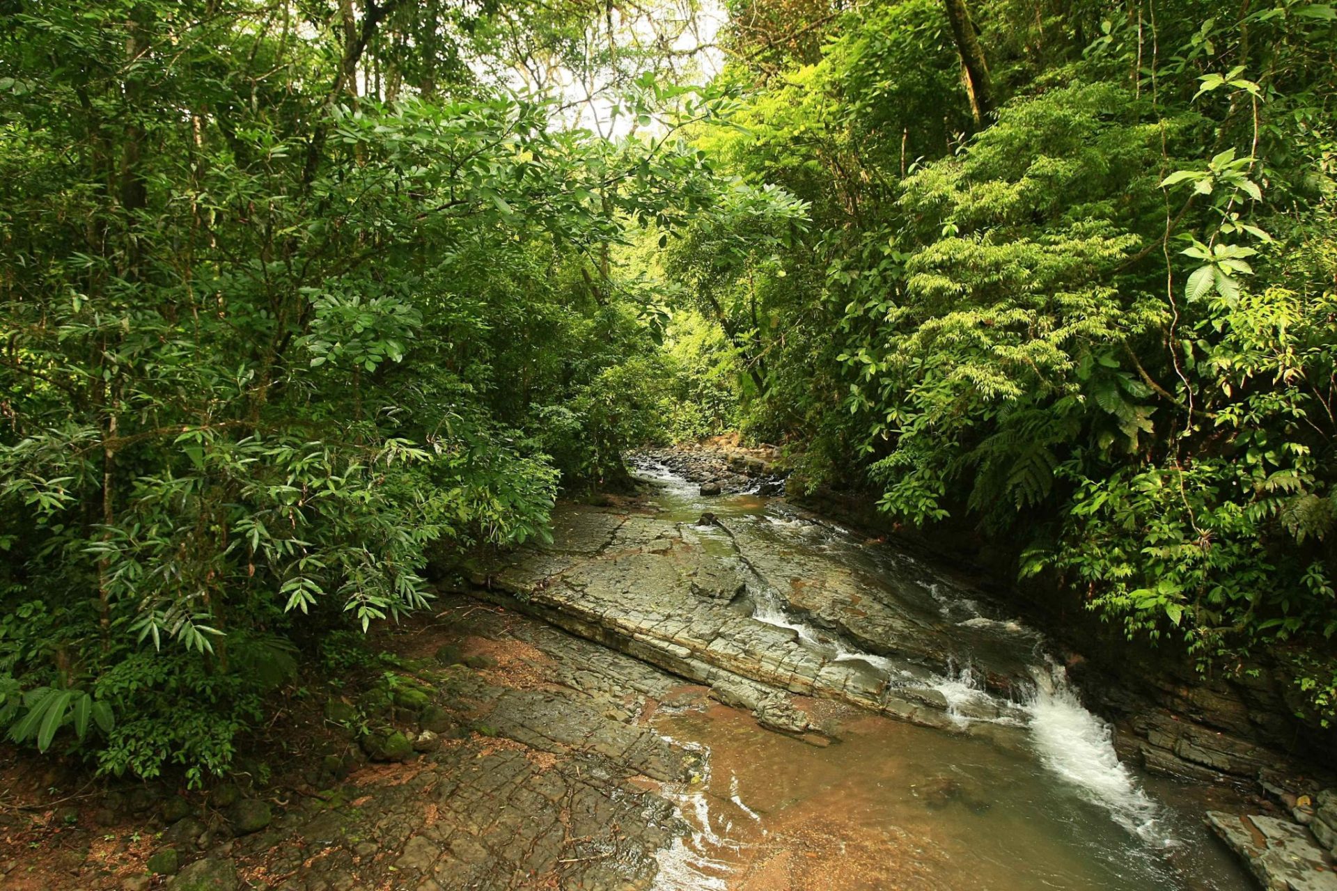 La Cangreja, a 80 kilómetros de San José (Costa Rica).