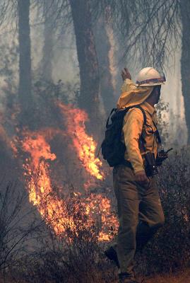 Un forestal en un incendio en Cartaya (Huelva) en una foto de archivo