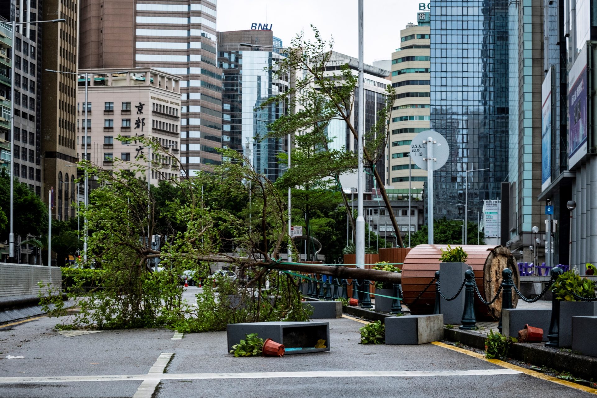 tifón Higos Macao china