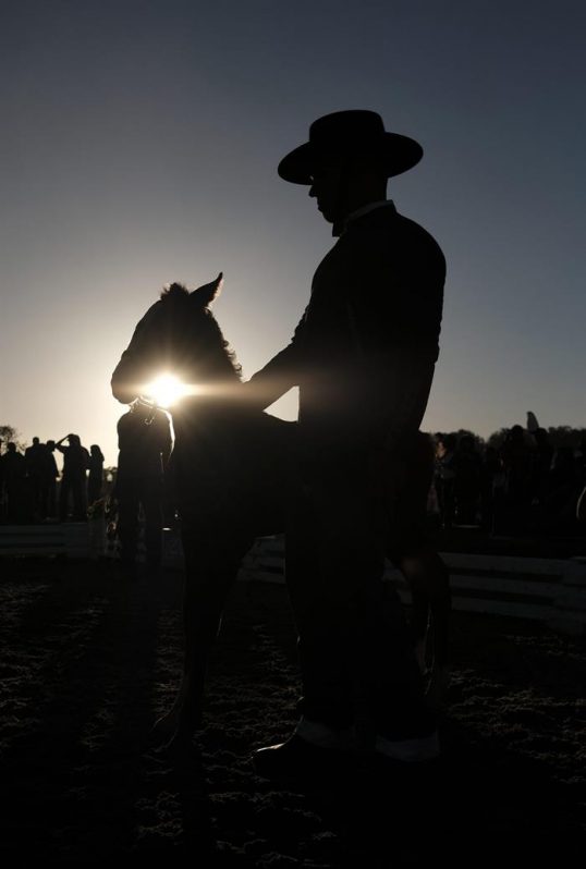 Este domingo se ha clausurado en Costa Rica la VIII Feria Centroamericana del Caballo Pura Raza Española (FERPRE) con más de 40 ganaderías. 