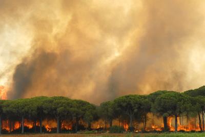Incendio en Cádiz 