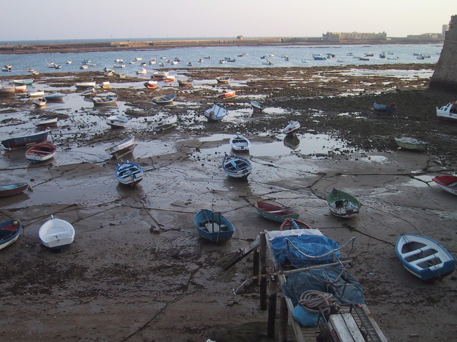 Recurso de Archivo. @arturolarena para @EFEverde