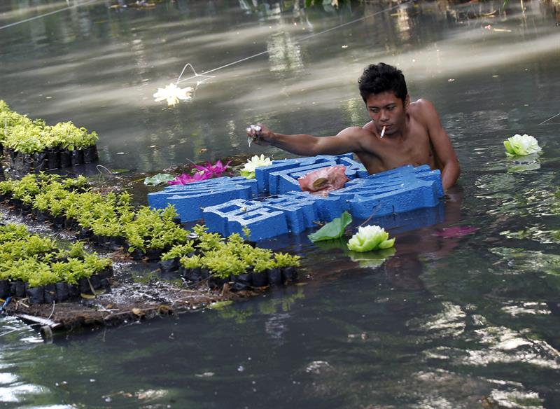 Un ecologista filipino planta flores en las aguas contaminadas del río Pasig en Manila (Filipinas).