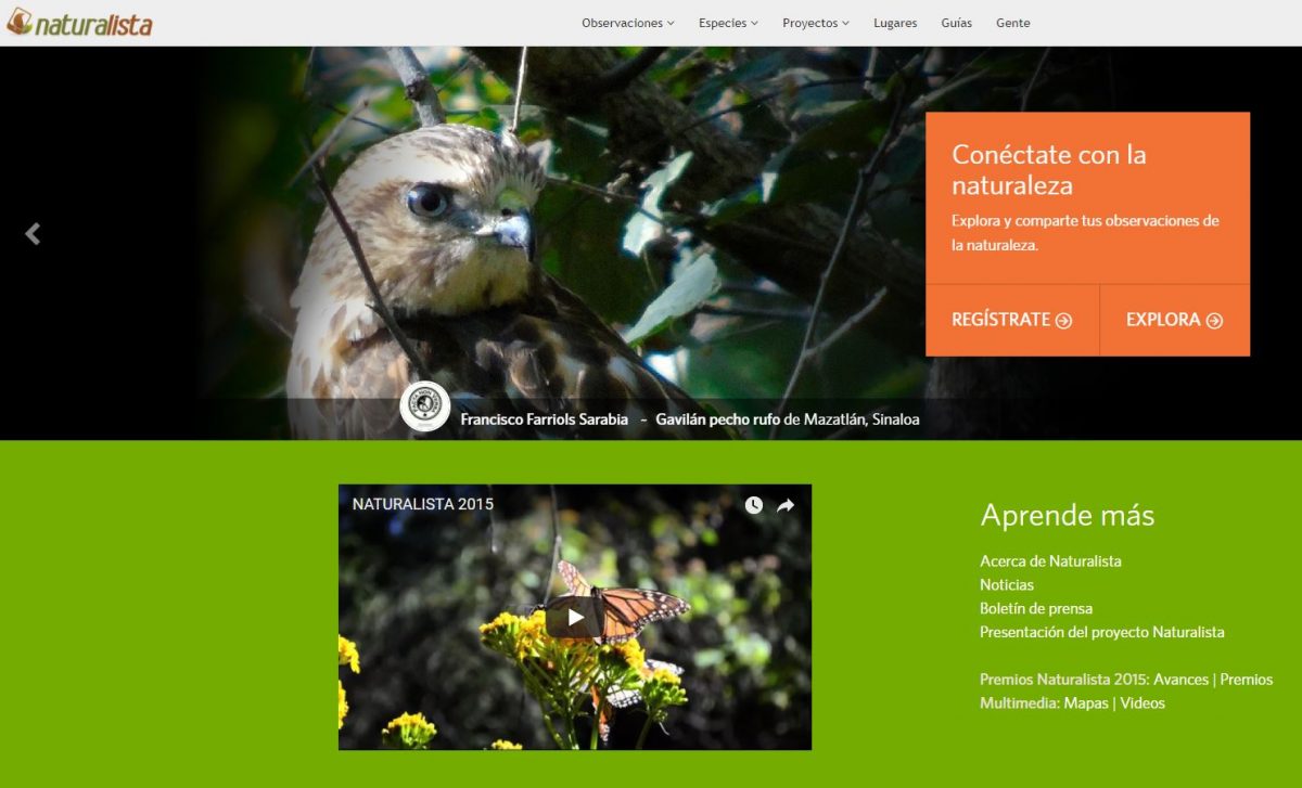 Captura de la plataforma Naturalesta