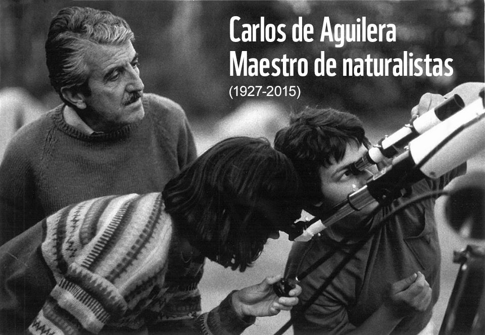 Foto de archivo de Carlos de Aguilera. Foto de WWF
