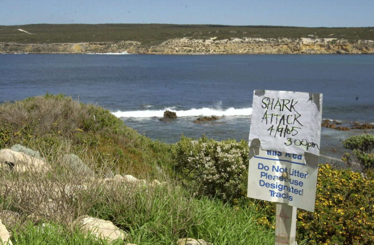 Un cartel avisa de posibles ataques de tiburones a los bañistas en una playa de Australia.