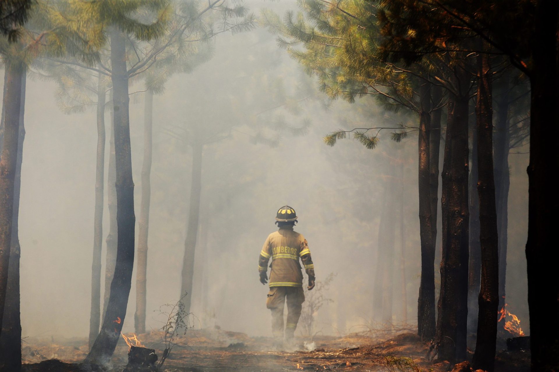 Imagen de un incendio forestal. EFE/Elvis González