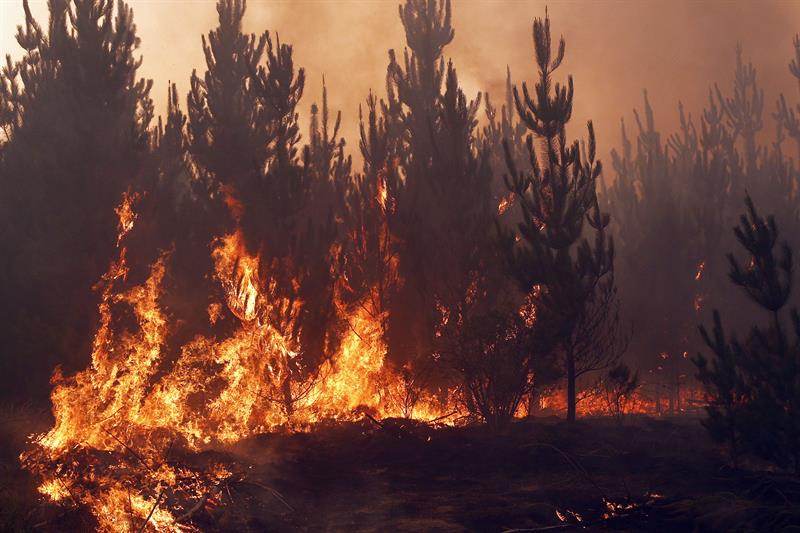 4.000 evacuados por  los incendios forestales del centro y sur de Chile. 