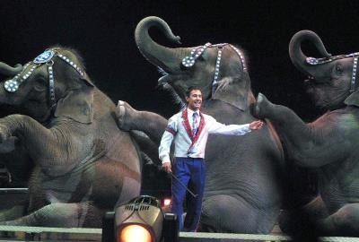 circo con animales en una foto de archivo