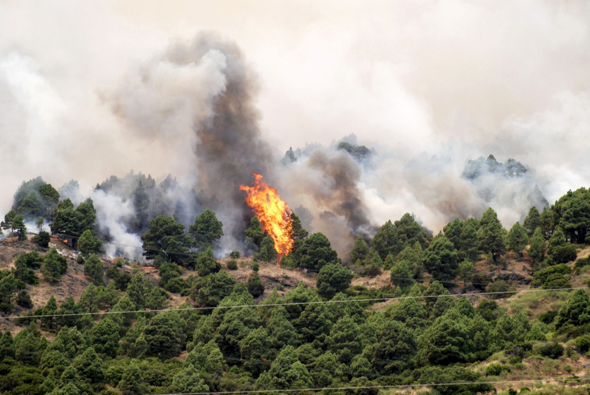 Una columna de humo y llamas en las proximidades de Tigalate en la isla de La Palma en agosto de 2016. 