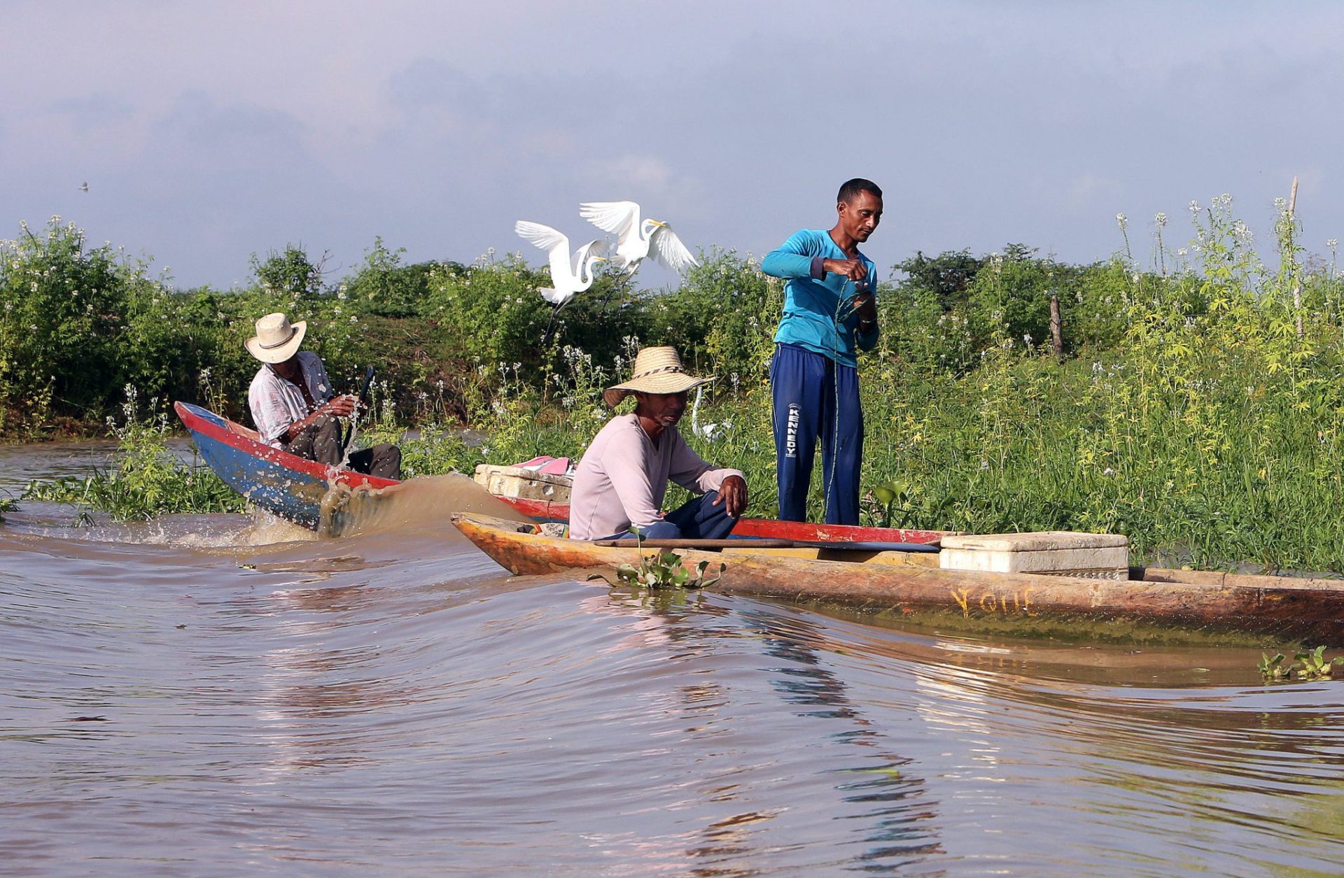 Simulación del efecto del cambio climático en un paraje natural. EFE/P. Armestre y M. Gómez