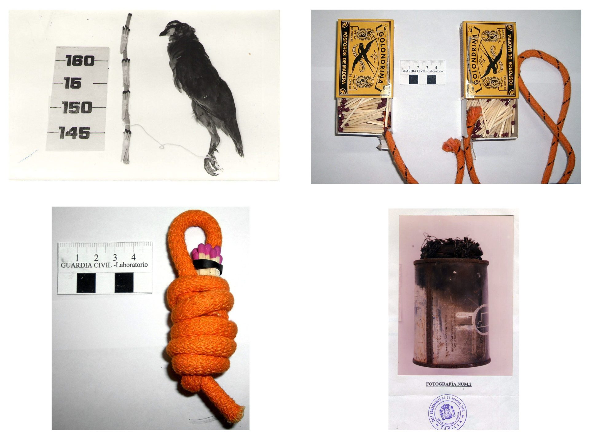 Distintos artefactos utilizados para prender fuego. EFE/Seprona de la Guardia Civil  