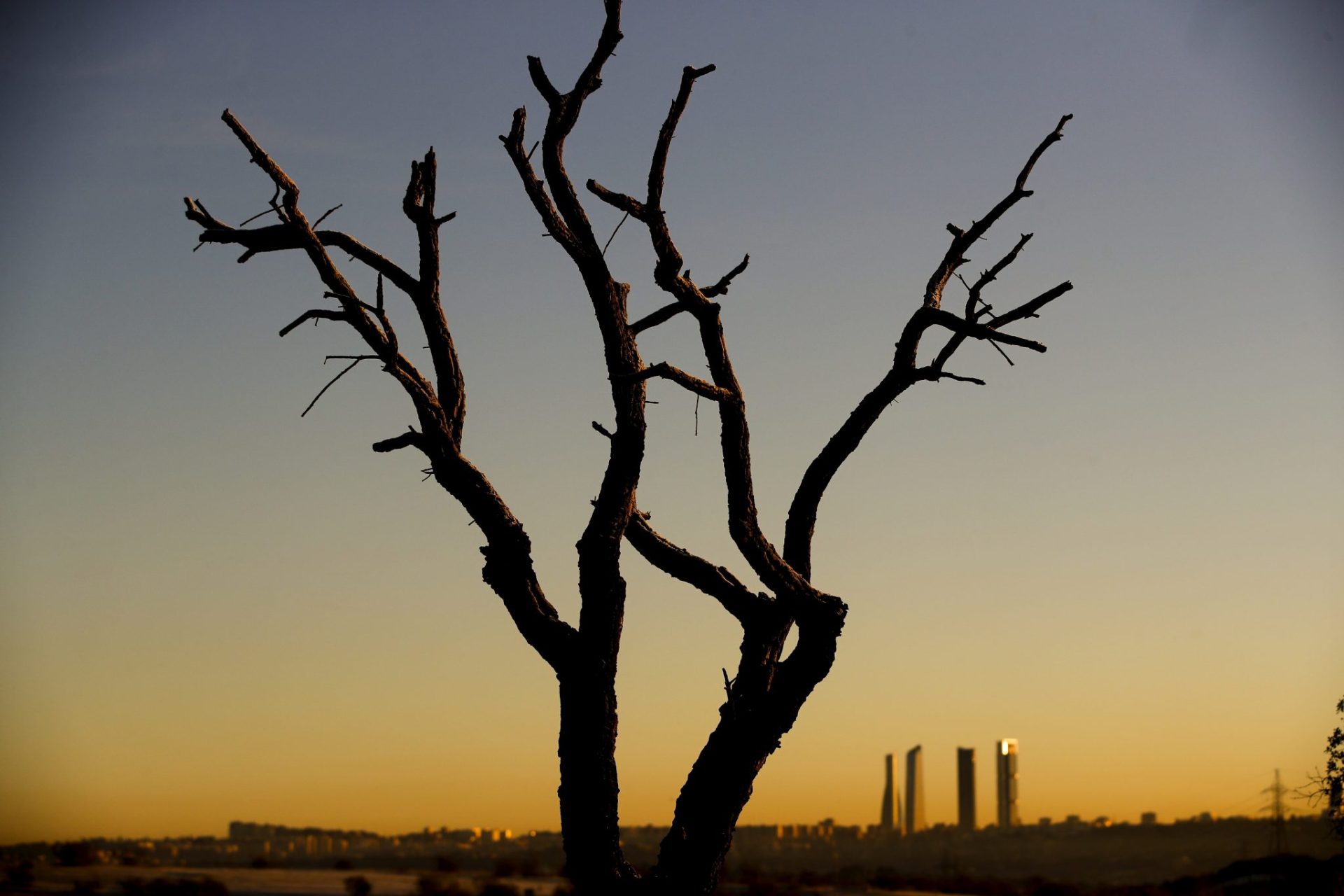 La moción ha sido aprobada por los grupos parlamentarios socialista, Podemos y Mixto. 