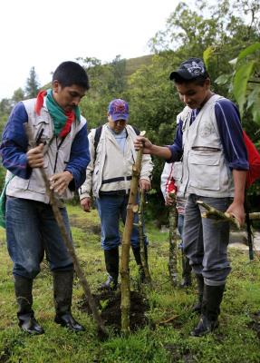 "Es clave" involucrar a las comunidades, la población que vive con los bosques alrededor de ella, con los animales alrededor de ella, que viven en el ecosistema".