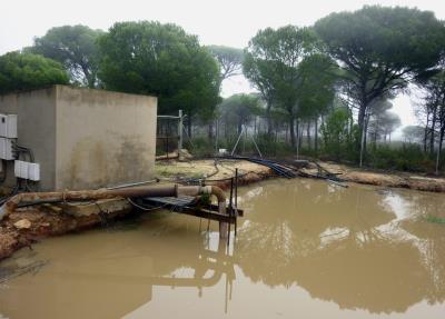 Una balsa de captación de agua en la zona de La Rocina (Huelva).