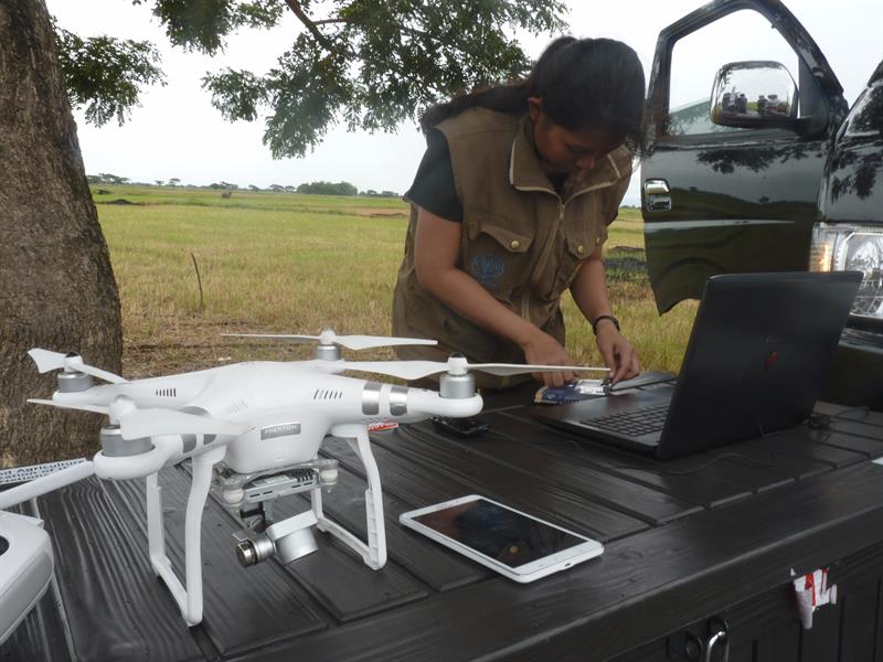 La experta del Ministerio de Agricultura de Filipinas Zaida Manglicmot programa el funcionamiento de un dron para evaluar los cultivos de la zona de Apalit, al norte de Manila. 